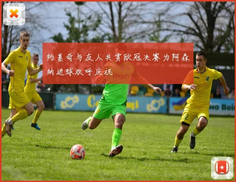 约基奇与友人共赏欧冠决赛为阿森纳进球欢呼庆祝